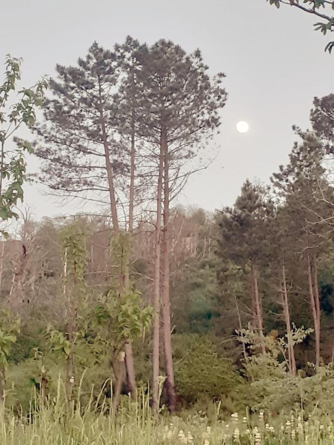 Refúgio d’Aldeia da Serra Seia Exterior foto